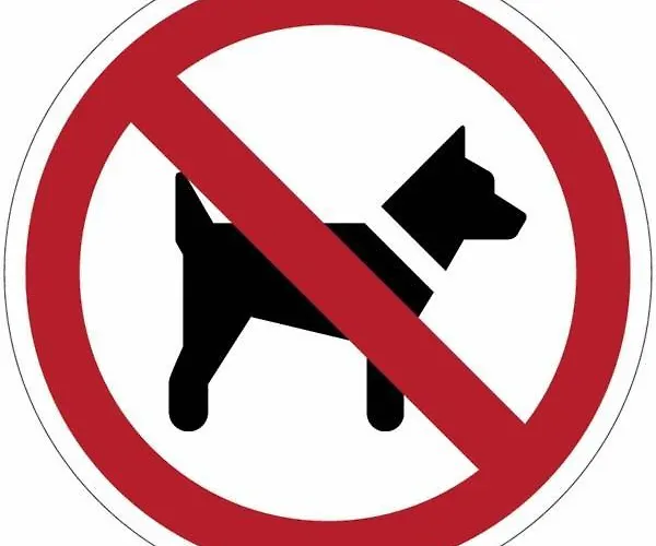 Apartment Welcome In The Cozy Blue Nest Pedestrian Menton